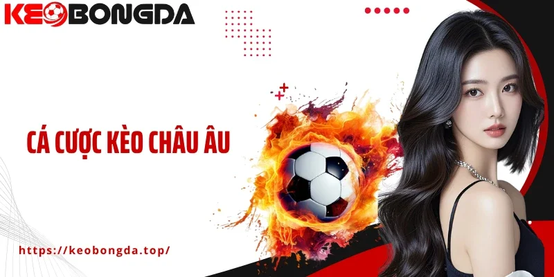 Hướng Dẫn Chơi Cá Cược Kèo Châu Âu Chi Tiết Cho Người Mới