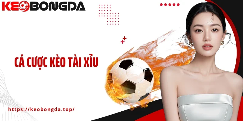 Cá Cược Kèo Tài Xỉu Bí Quyết Chơi Hiệu Quả Từ Chuyên Gia