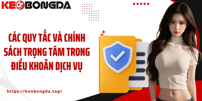 Các quy tắc và chính sách trọng tâm trong điều khoản dịch vụ