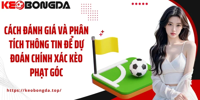 Cách đánh giá và phân tích thông tin để dự đoán chính xác kèo phạt góc