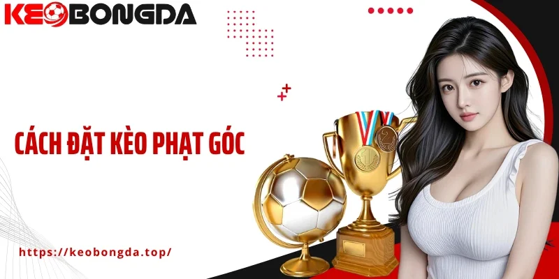 Hướng Dẫn Chi Tiết Cách Đặt Kèo Phạt Góc Thắng Lớn