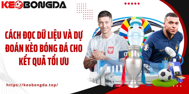 Cách đọc dữ liệu và dự đoán kèo bóng đá cho kết quả tối ưu