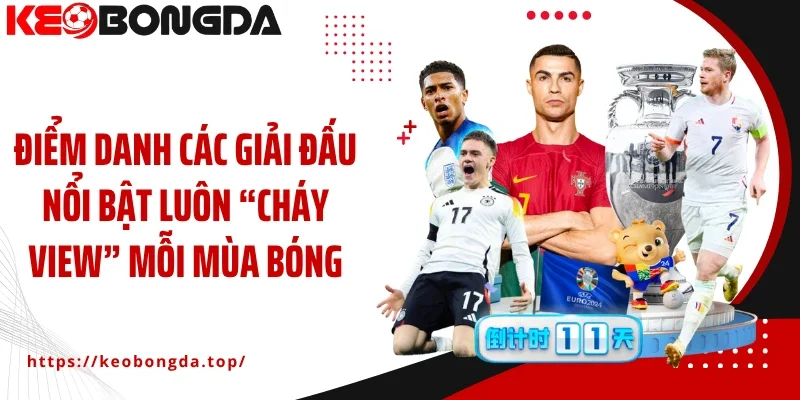 Điểm danh các giải đấu nổi bật luôn “cháy view” mỗi mùa bóng