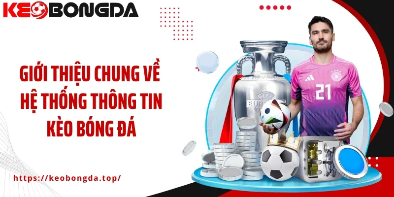 Giới thiệu chung về hệ thống thông tin kèo bóng đá
