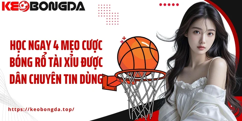 Học ngay 4 mẹo cược bóng rổ tài xỉu được dân chuyên tin dùng