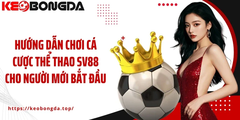 Hướng dẫn chơi cá cược thể thao SV88 cho người mới bắt đầu