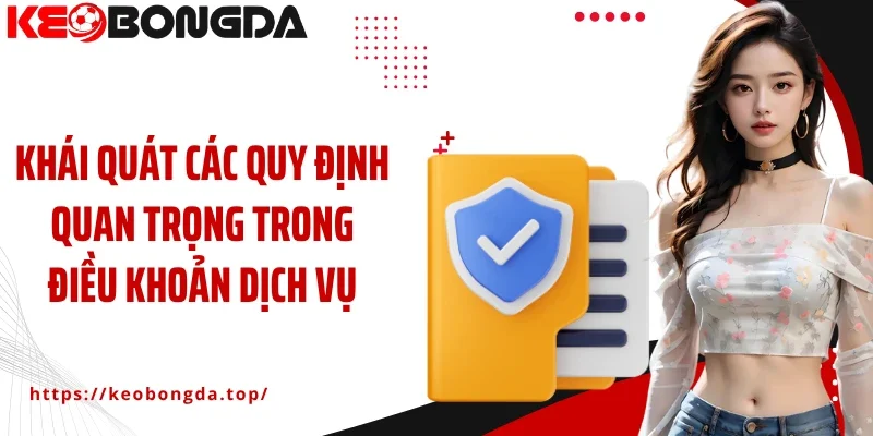 Khái quát các quy định quan trọng trong điều khoản dịch vụ