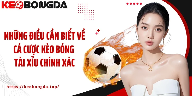 Những điều cần biết về cá cược kèo bóng tài xỉu chính xác