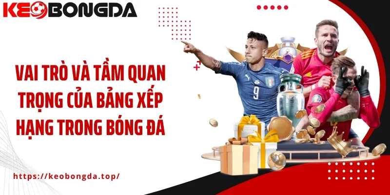 Vai trò và tầm quan trọng của bảng xếp hạng trong bóng đá