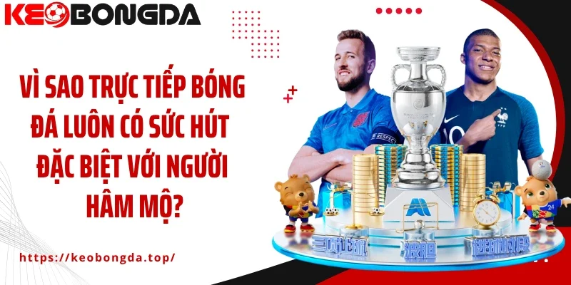 Vì sao trực tiếp bóng đá luôn có sức hút đặc biệt với người hâm mộ?